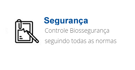 Segurança